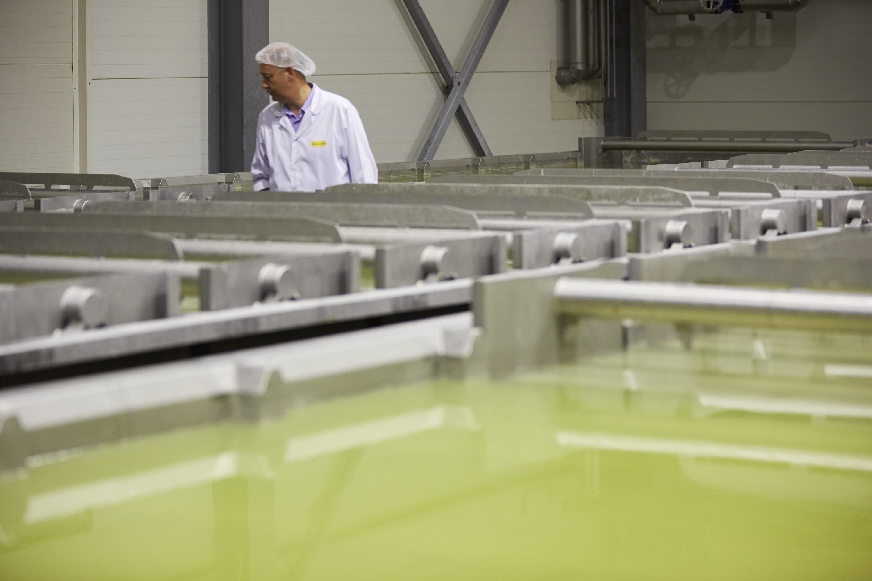 Chemical treatment for industrial processes Veolia Water Technologies