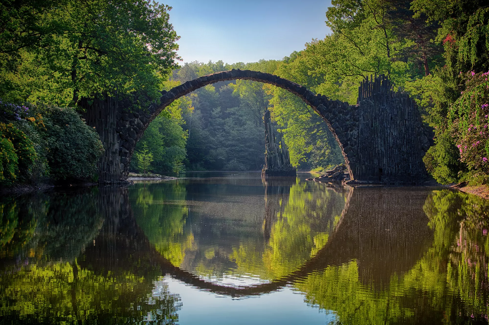 Bridge spanning a river in a forest