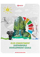 Sustainable development goals report cover
