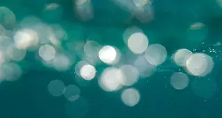 View of microorganism